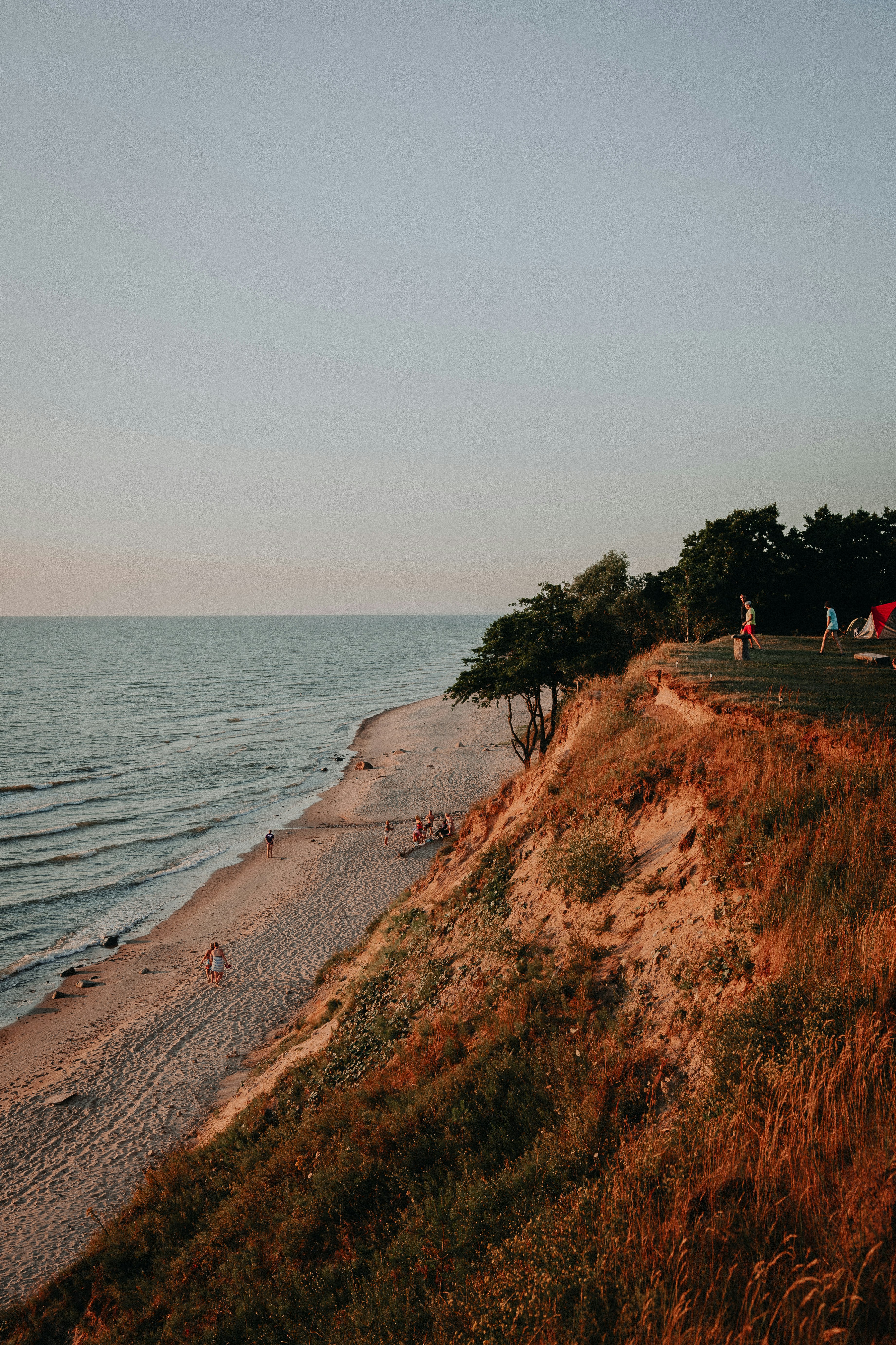 people walking on beach shore during daytime